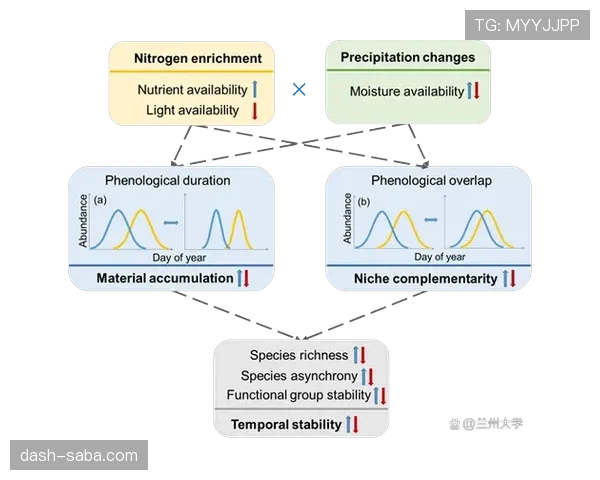 佩佩·雷纳状态回暖背后的稳定性提升机制分析
